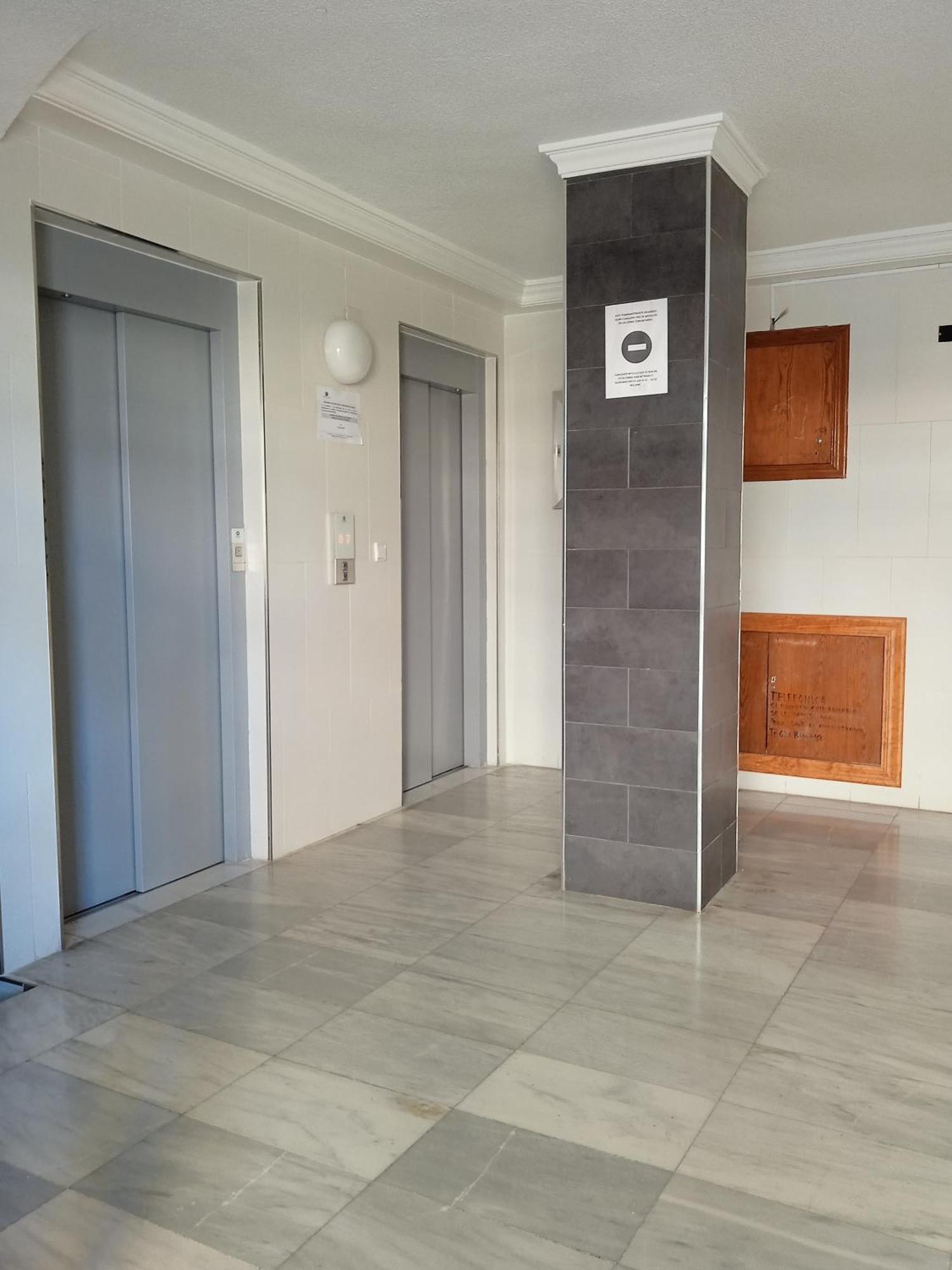 Studio Tango Torrevieja Dış mekan fotoğraf